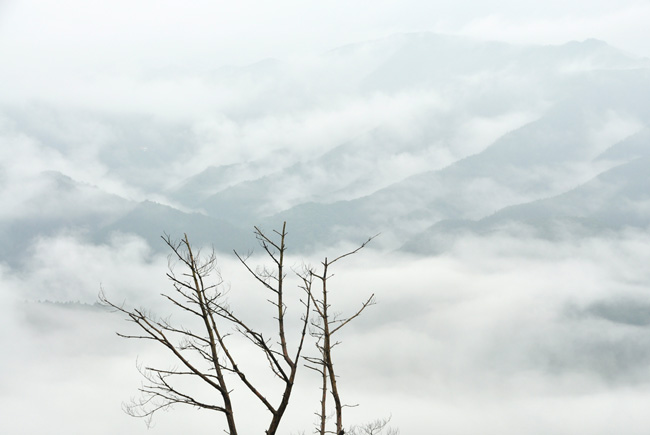 晴読雨撮-2_c0143722_1715146.jpg