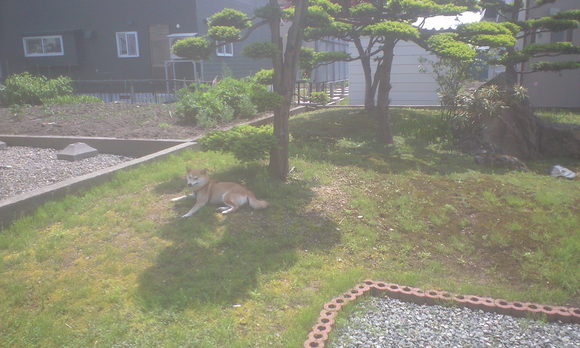 e0227023_23454197.jpg