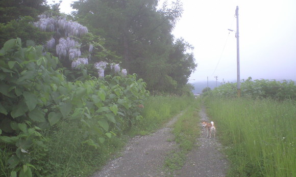 e0227023_23491520.jpg