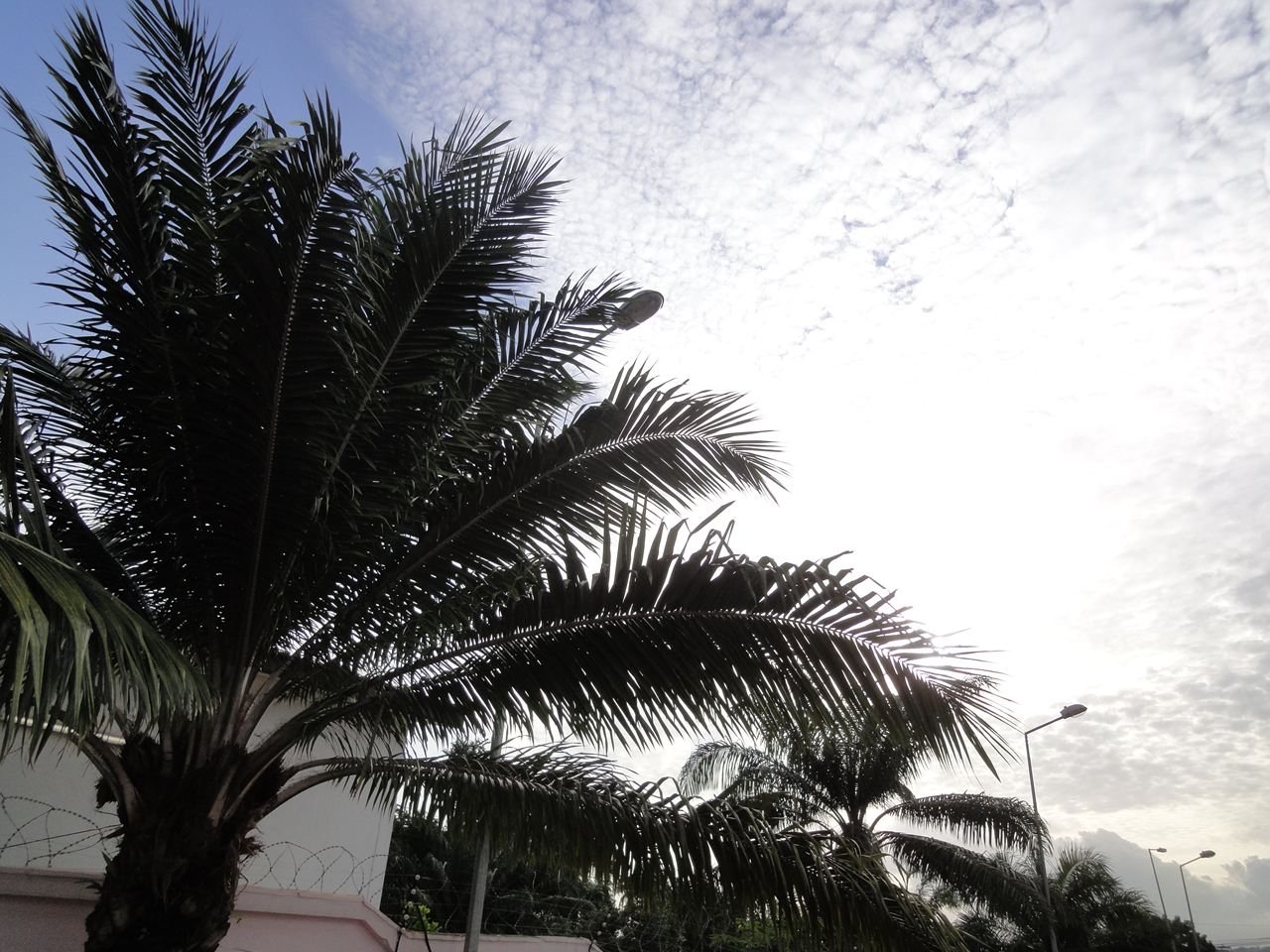 b0207724_2592881.jpg