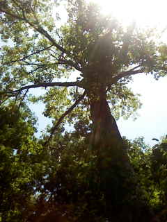 e0204927_1439620.jpg