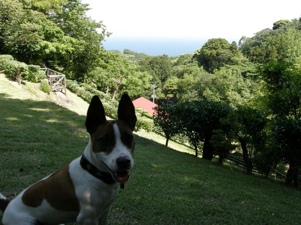 e0204927_15103811.jpg