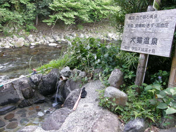 e0204927_15413029.jpg