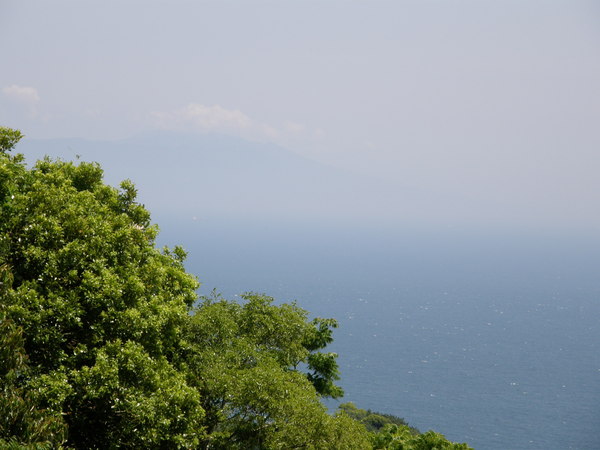 e0204927_1574480.jpg