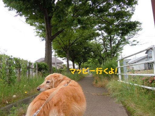 f0114128_1612399.jpg