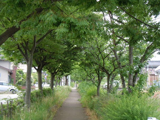 f0114128_162561.jpg