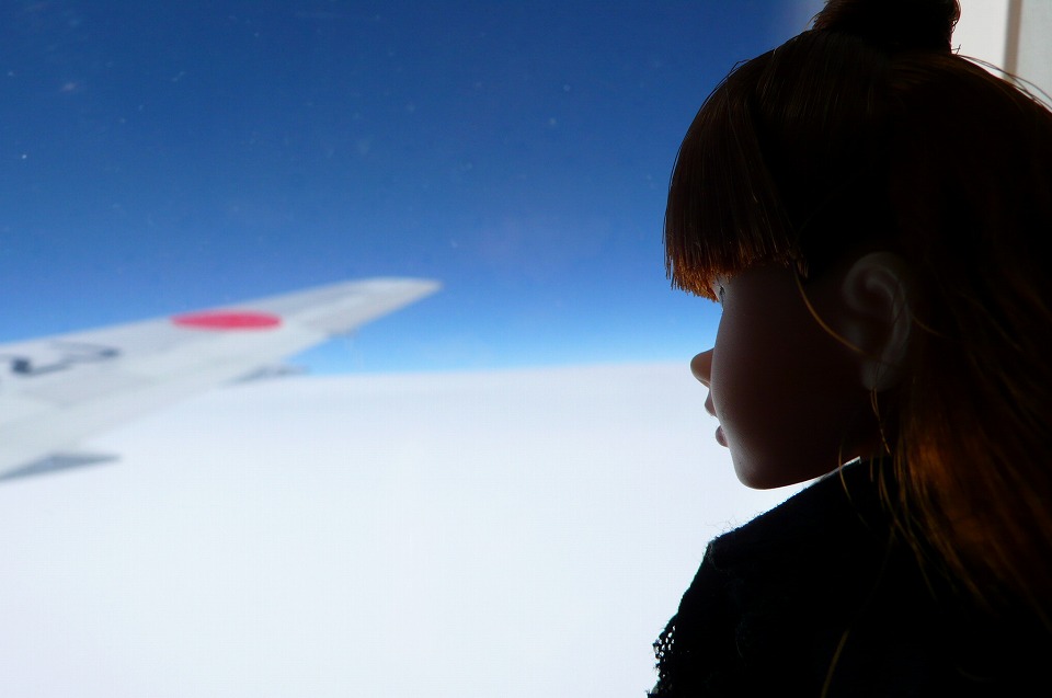 b0113231_87684.jpg