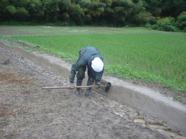 畦塗り。&出産。 2011 6月_a0206732_21395116.jpg