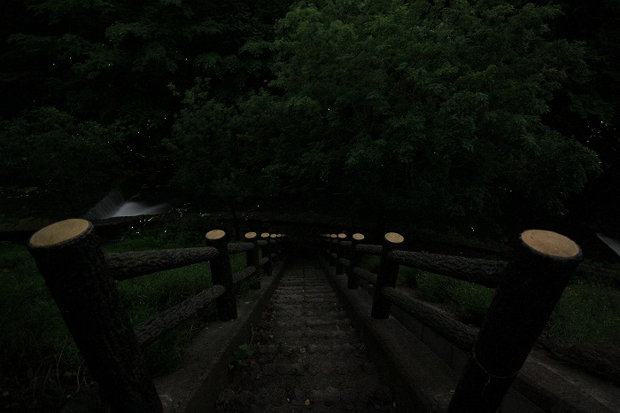 b0168041_2010059.jpg
