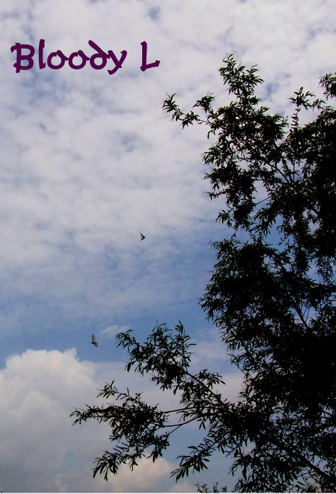 e0033745_21121233.jpg