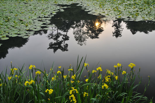 健民公園にて(1)_c0093046_1911446.jpg