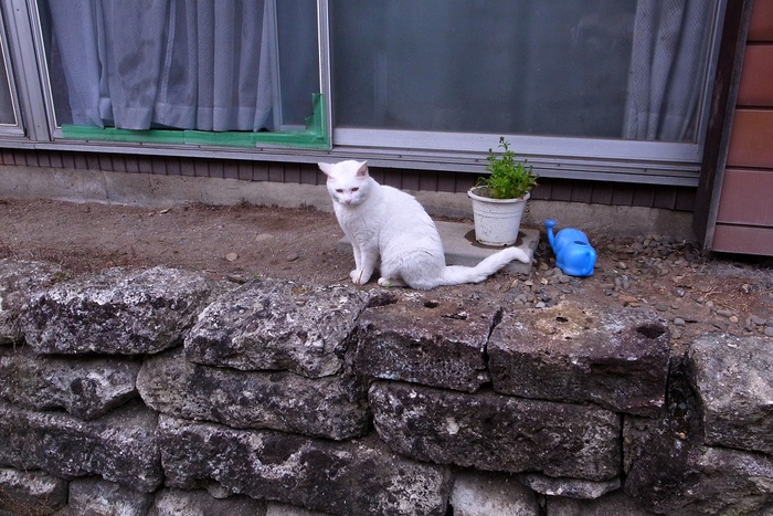 e0009147_95248.jpg