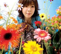 岡本真夜 全シングル＆アルバム2 : 懐かしいアナログ盤♪
