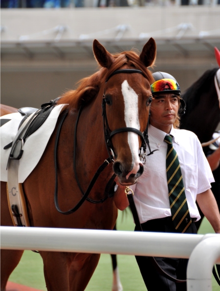 阪神競馬場（その２）。。_f0199649_721658.jpg