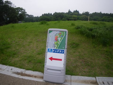 f0046250_1546548.jpg