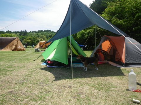 f0046250_949180.jpg