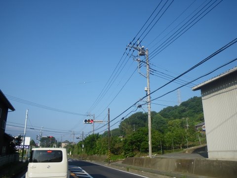f0046250_984414.jpg