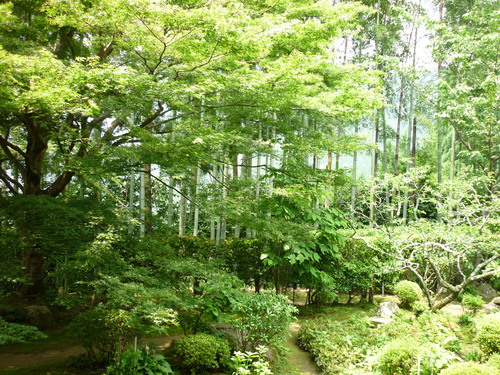 京都に行ってきました~_a0153252_15253441.jpg