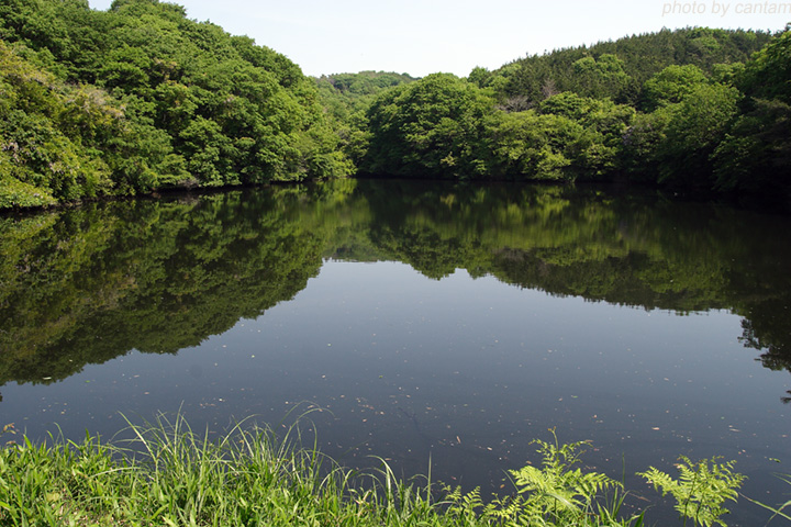 岡山県美咲町 与太郎池_f0091955_232094.jpg