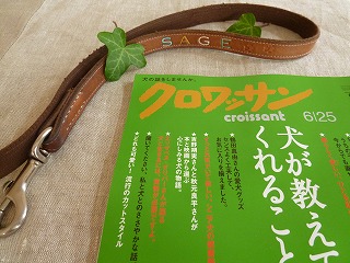with dog いつものひととき♪_a0165160_7221398.jpg