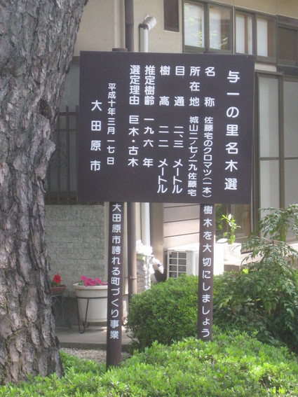 企画「大田原をもっと知ろう!」・・・その7、城山②。_b0063162_10413836.jpg