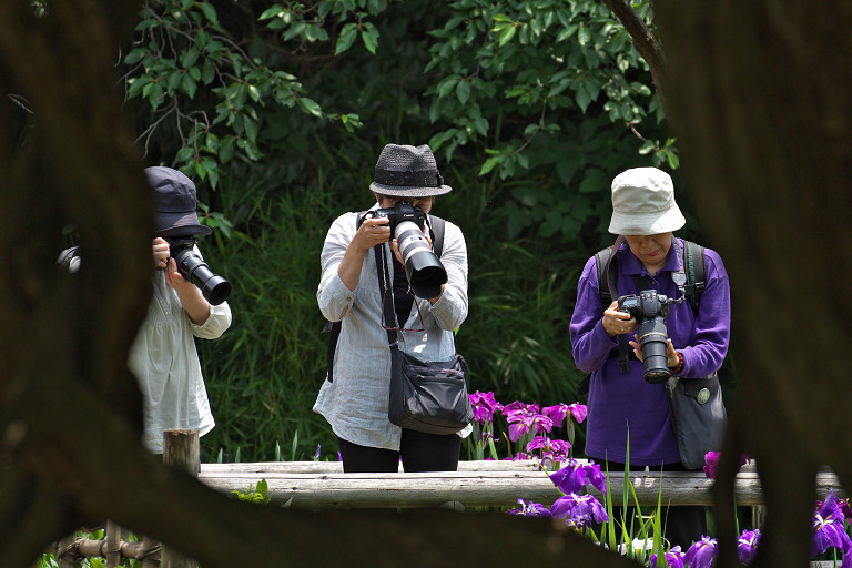 三溪園（６月９日）_c0057265_325928.jpg