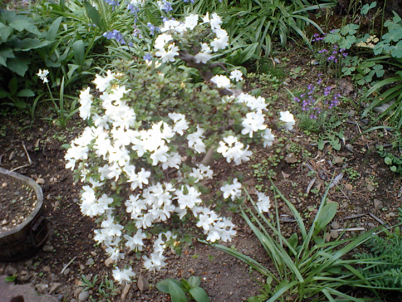 d0098665_17421266.jpg