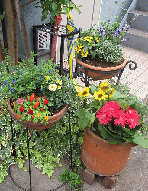 a0213770_20232294.gif