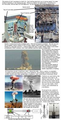 秋月医師の「長崎原爆記」 + 福島3号機爆発への一仮説_c0139575_8571396.jpg