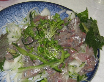 f0003283_1613911.jpg