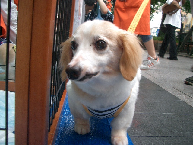 d0227686_0401090.jpg