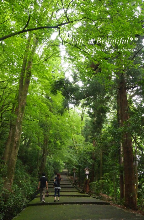 白山比咩神社さんへ御詣りに♪_c0156789_20435277.jpg