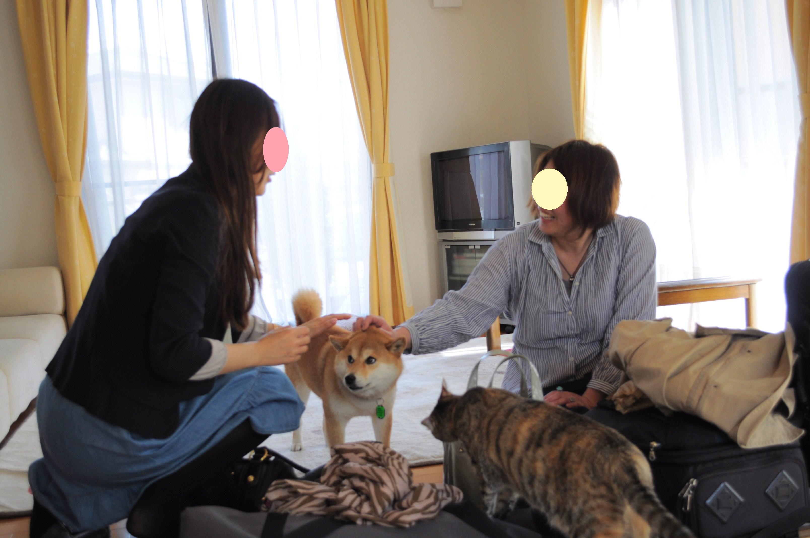 つーちゃんと私が「猫生活」に!?_a0126590_1425053.jpg