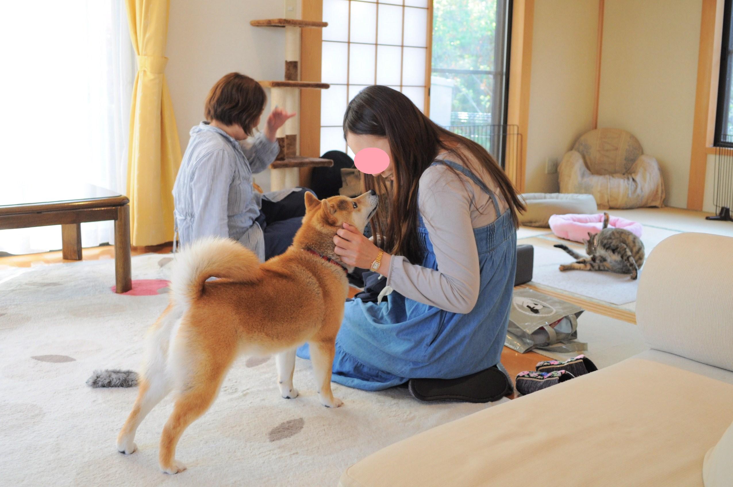 つーちゃんと私が「猫生活」に!?_a0126590_1463147.jpg