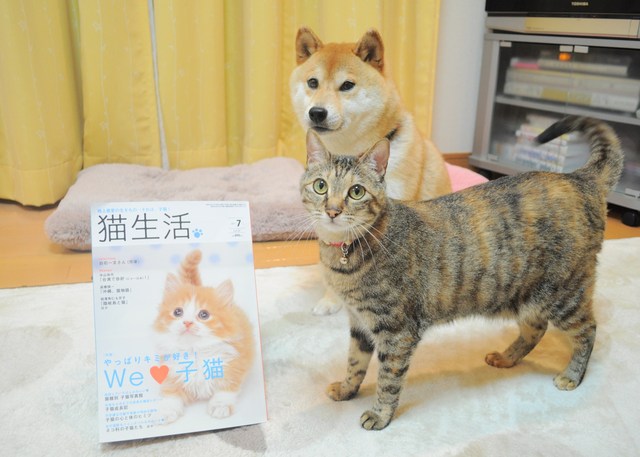 つーちゃんと私が「猫生活」に!?_a0126590_911553.jpg