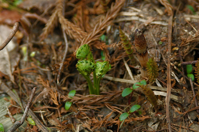 b0217090_1223854.jpg