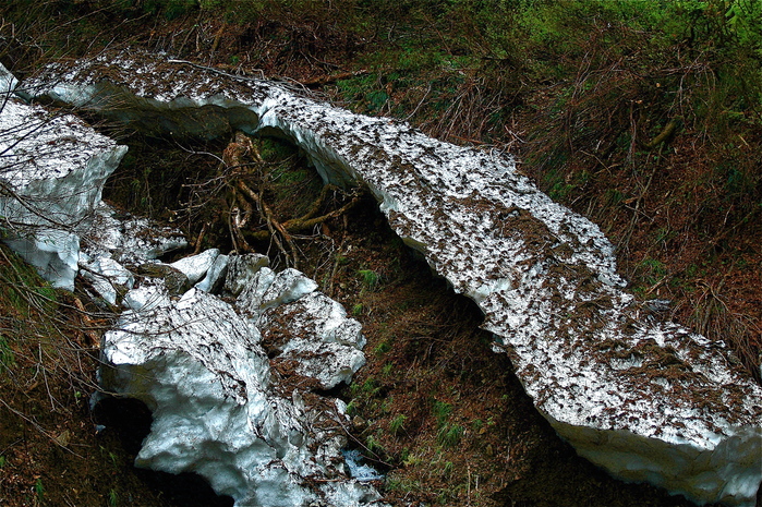b0217090_1334859.jpg
