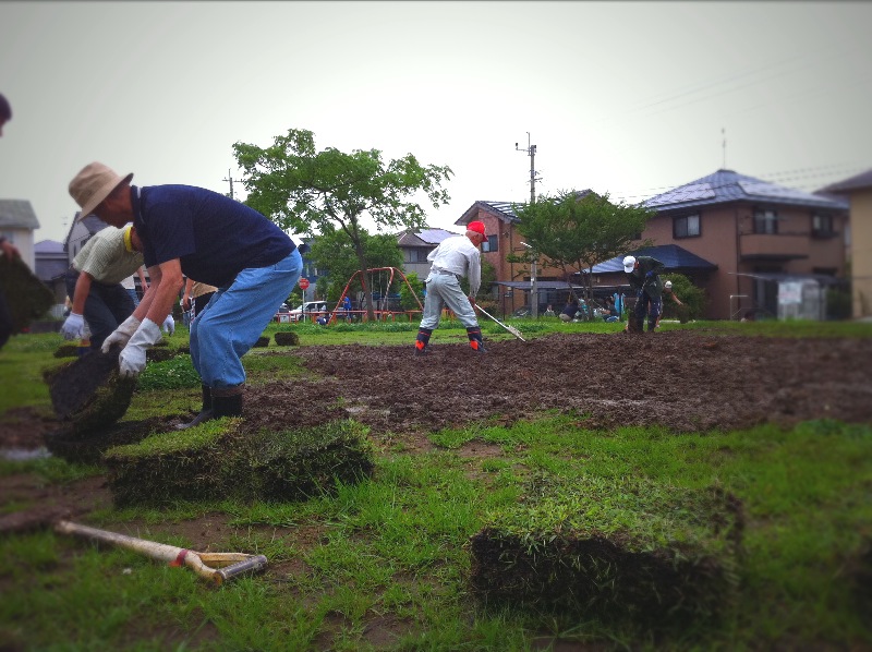 芝の張替え_c0184491_23221493.jpg