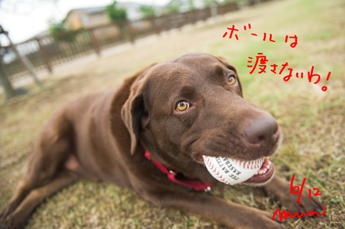 午後から雨。。_a0066192_19134867.jpg