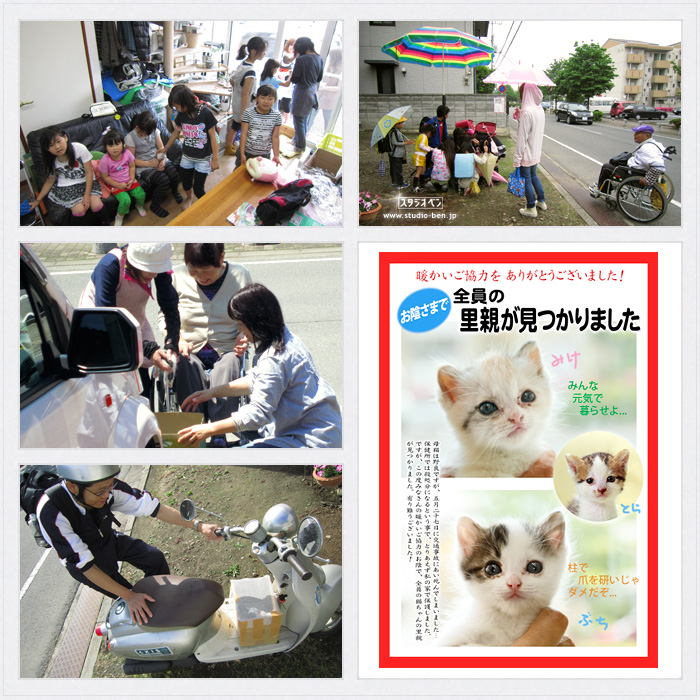 全員の里親が見つかりました!_c0210599_023956.jpg