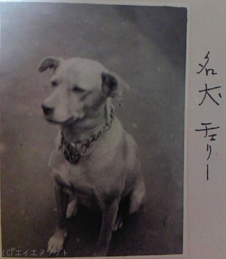 57年前のチェリ_a0033505_20552725.jpg