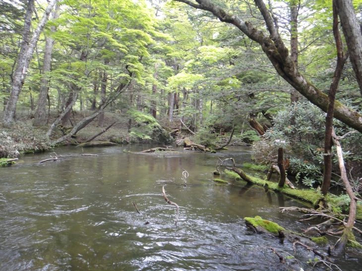 b0172805_10105915.jpg