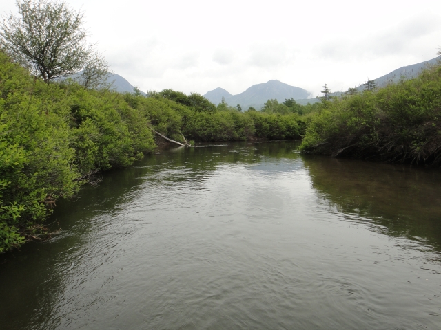 b0172805_1084219.jpg