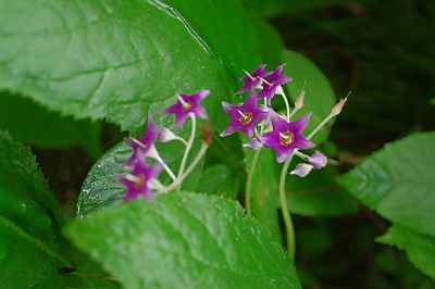 c0156908_1115327.jpg