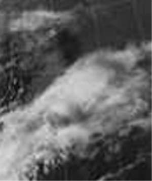 e0103408_2234180.jpg