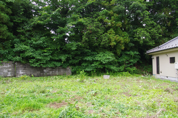 草刈り_b0024611_18113222.jpg