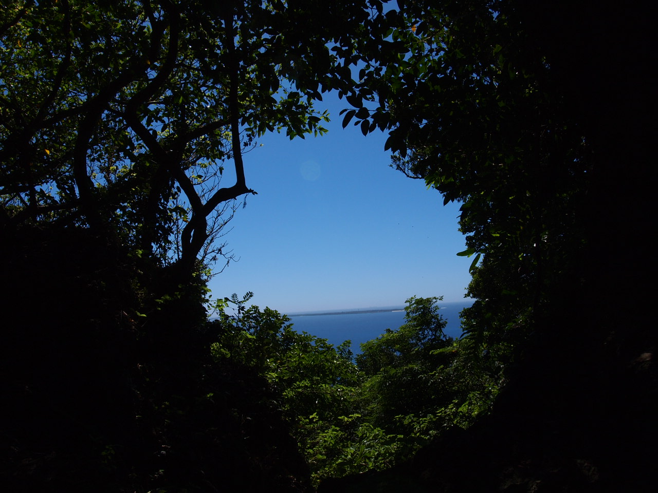 d0169613_17473226.jpg