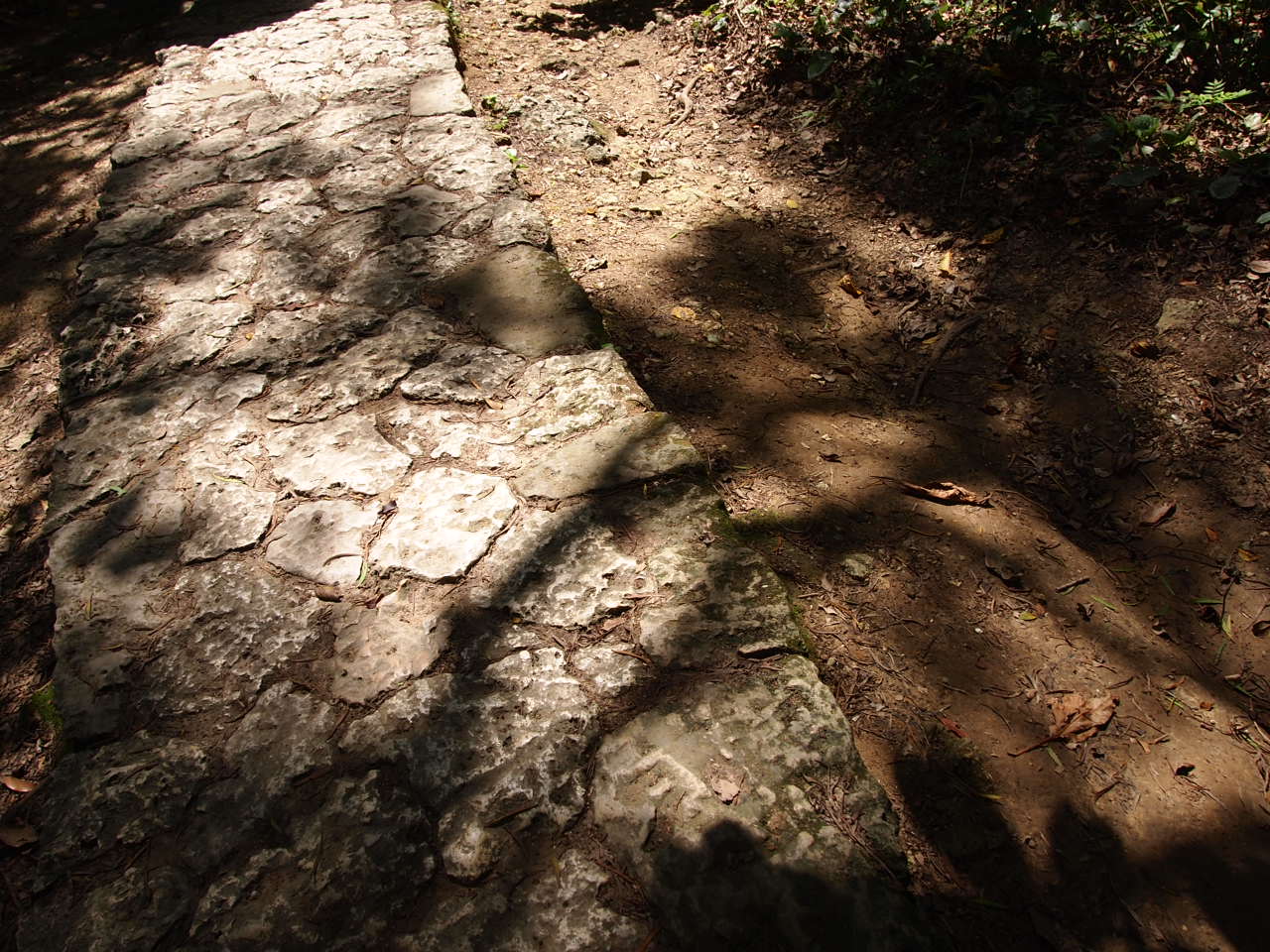 d0169613_1748183.jpg