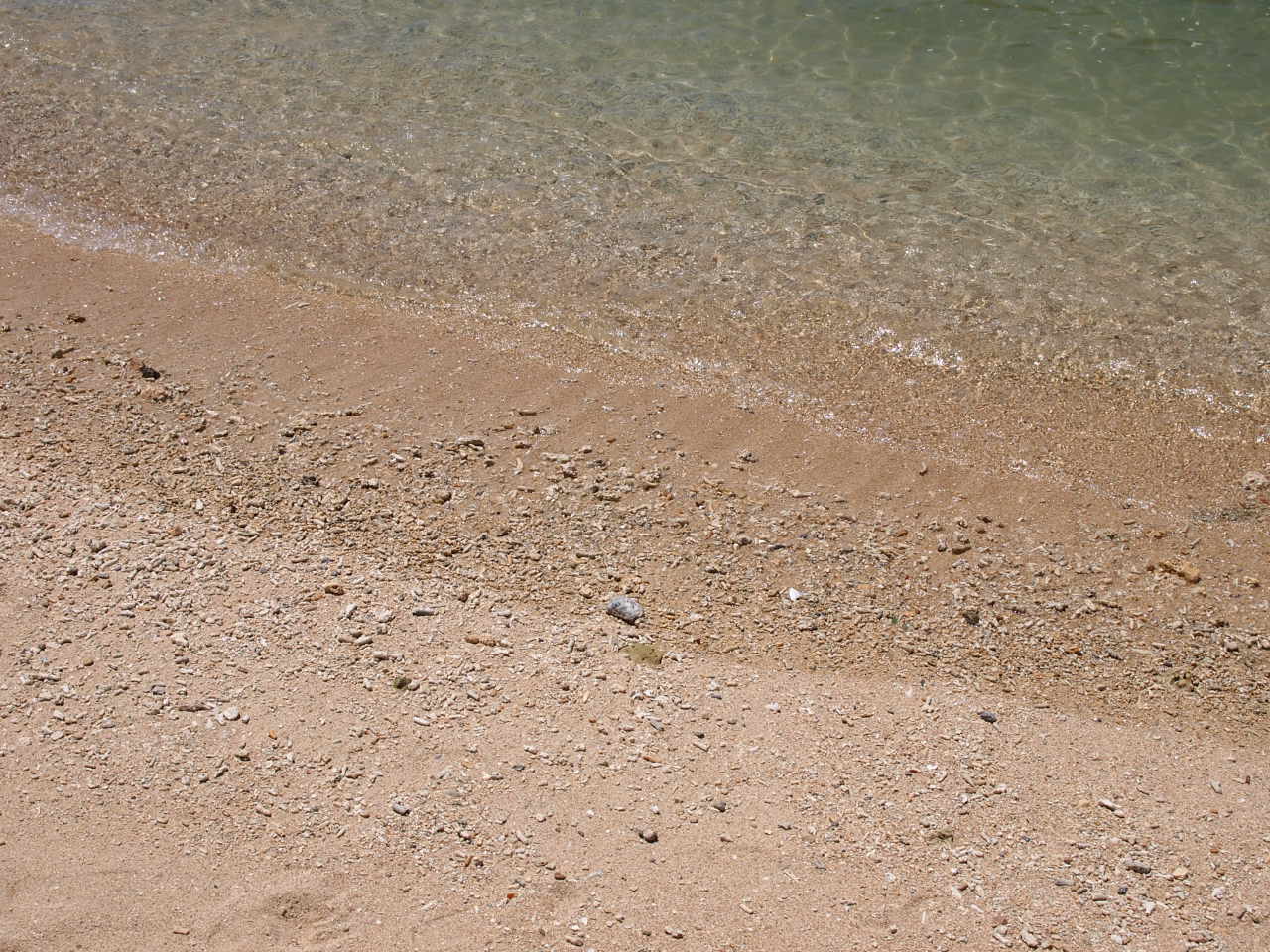 d0169613_17513841.jpg