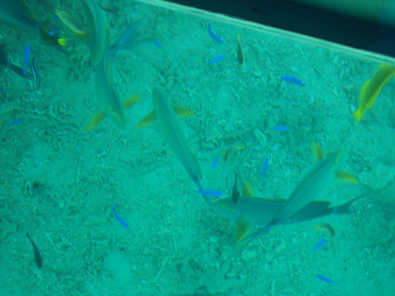 d0169613_175238100.jpg